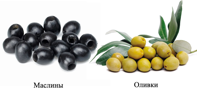 Польза оливок и маслин для здоровья женщины