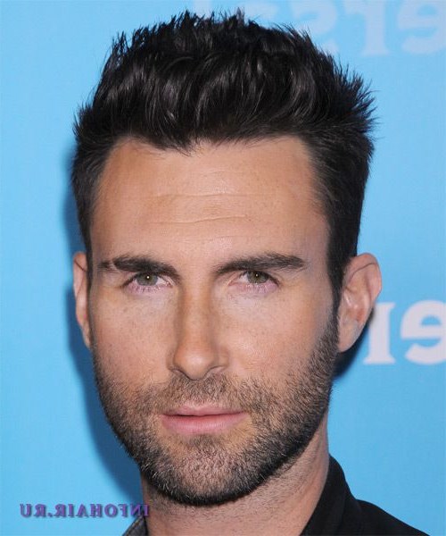 Адам Левин Адам Левин