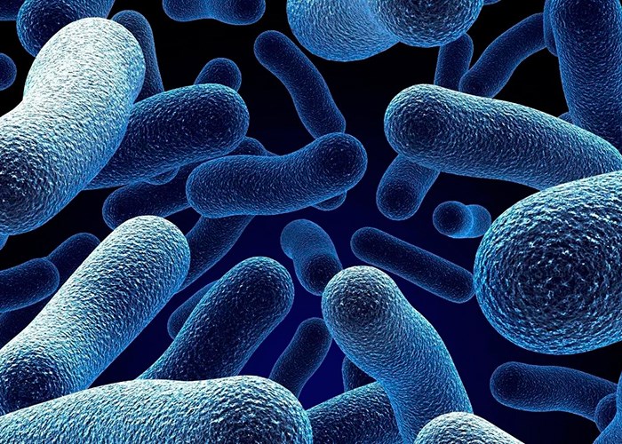 Бактериальный вагиноз: симптомы и причины неприятного заболевания Бактериальный вагиноз: симптомы и причины неприятного заболевания