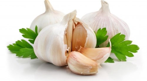 Чеснок Чеснок