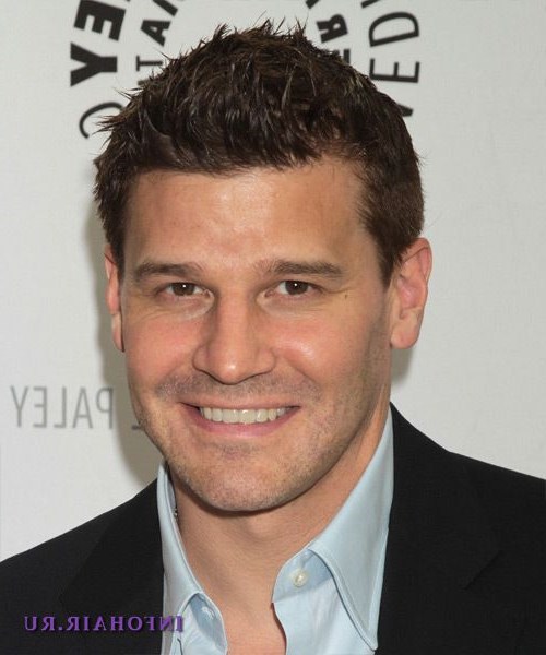 Дэвид Бореаназ Дэвид Бореаназ