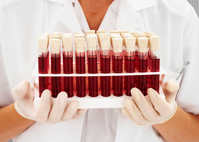 Группа крови и характер человека: узнаем о себе много нового Группа крови и характер человека: узнаем о себе много нового