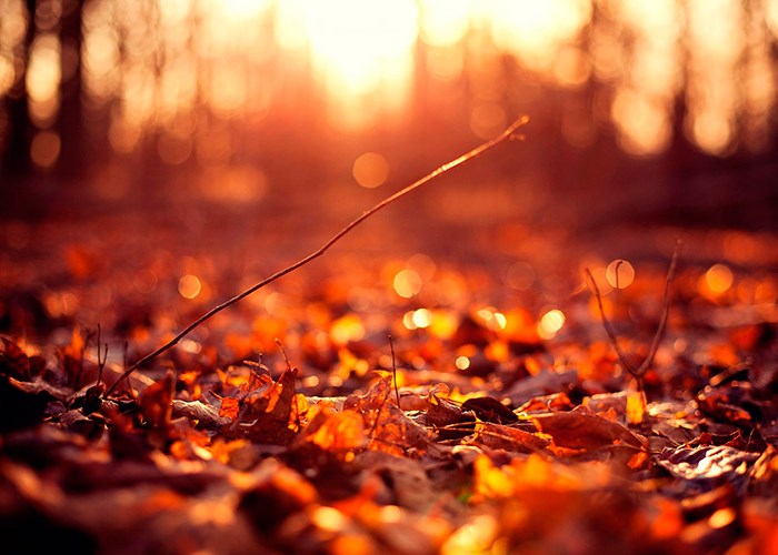 Как поднять настроение осенью: 7 эффективных способов Как поднять настроение осенью: 7 эффективных способов