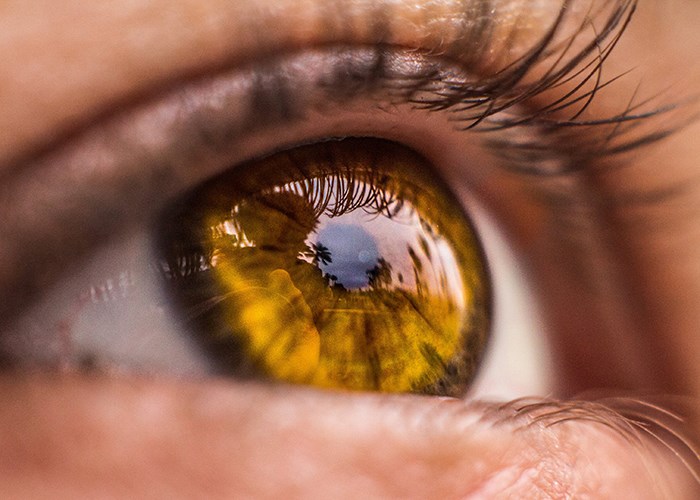 Как связаны цвет глаз и характер человека? Как связаны цвет глаз и характер человека?