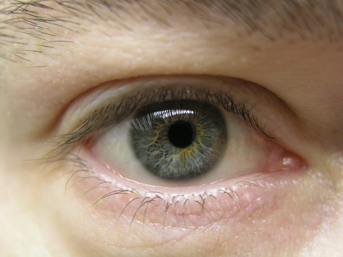 Как связаны цвет глаз и характер человека? Как связаны цвет глаз и характер человека?