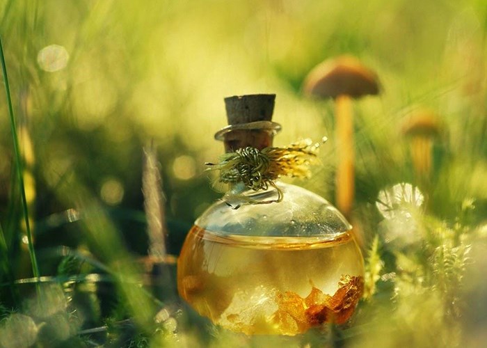 Касторовое масло для ресниц и бровей: секреты применения Касторовое масло для ресниц и бровей: секреты применения