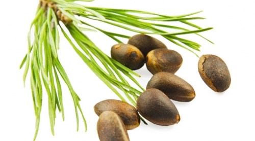 Кедровые орехи Кедровые орехи