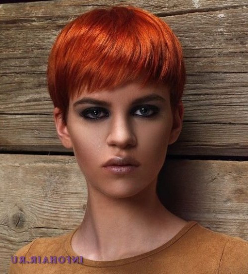 Короткие стрижки 2016 - фото модных причесок для нового сезона Короткие стрижки 2016 - фото модных причесок для нового сезона