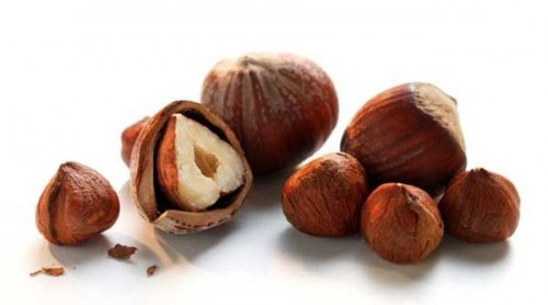 Лесные орехи и фундук