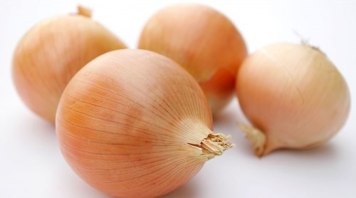 Лук репчатый