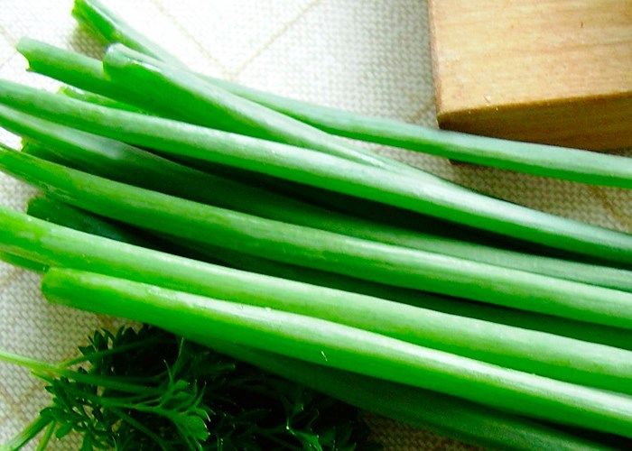 Огород на подоконнике: выращиваем свои эко-продукты Огород на подоконнике: выращиваем свои эко-продукты