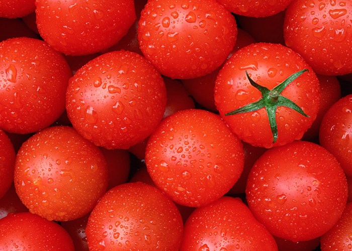 Огород на подоконнике: выращиваем свои эко-продукты Огород на подоконнике: выращиваем свои эко-продукты