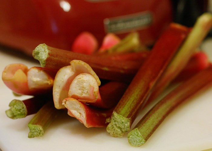 Полезные свойства ревеня: кислого, бодрящего и витаминного растения