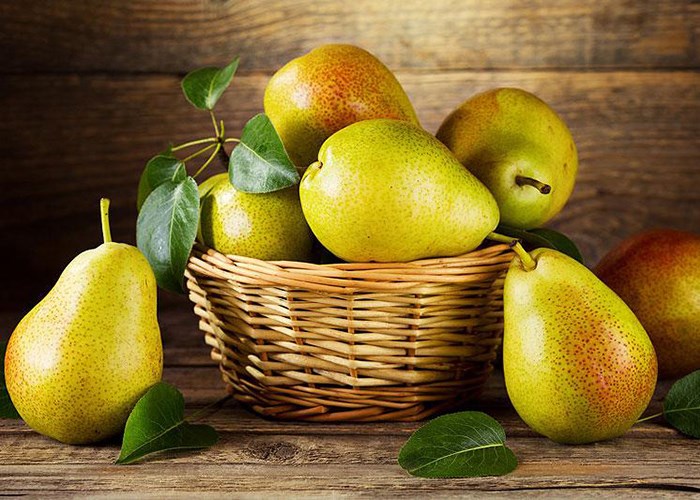 Польза груш для здоровья человека