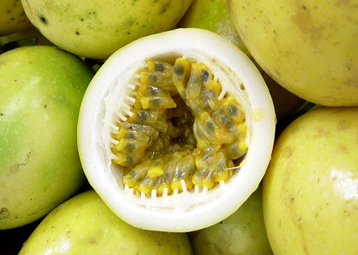 Польза маракуйи для здоровья человека