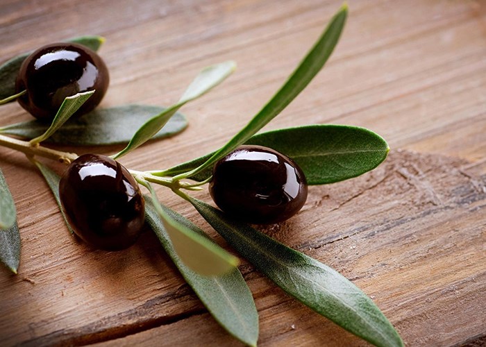 Польза оливок и маслин для здоровья женщины