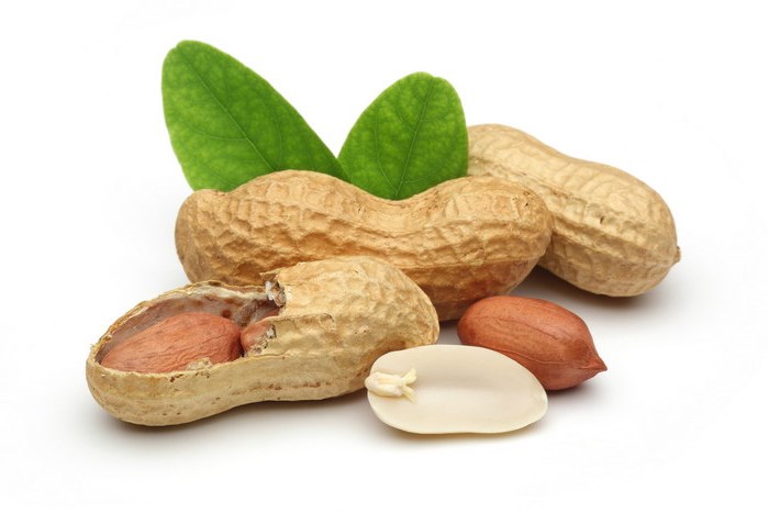 Польза орехов для здоровья женщины Польза орехов для здоровья женщины