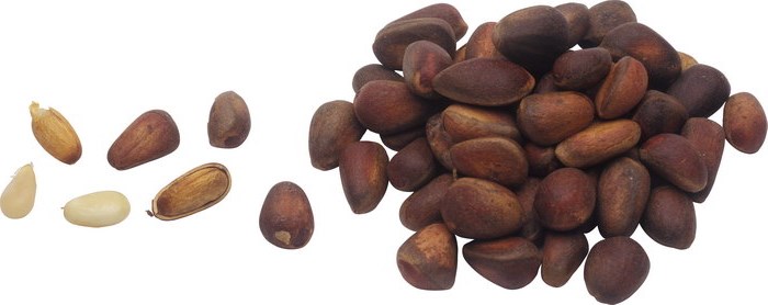 Польза орехов для здоровья женщины Польза орехов для здоровья женщины