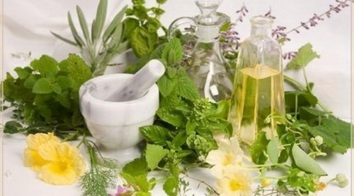 Травы и их использование Травы и их использование