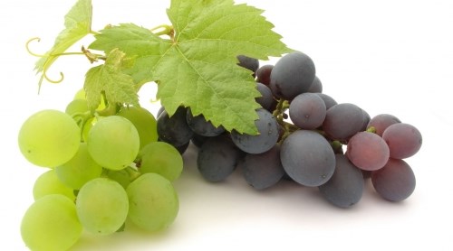 Виноград Виноград