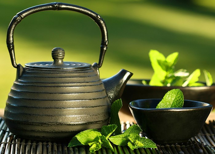 Вред и польза мяты для организма женщины Вред и польза мяты для организма женщины